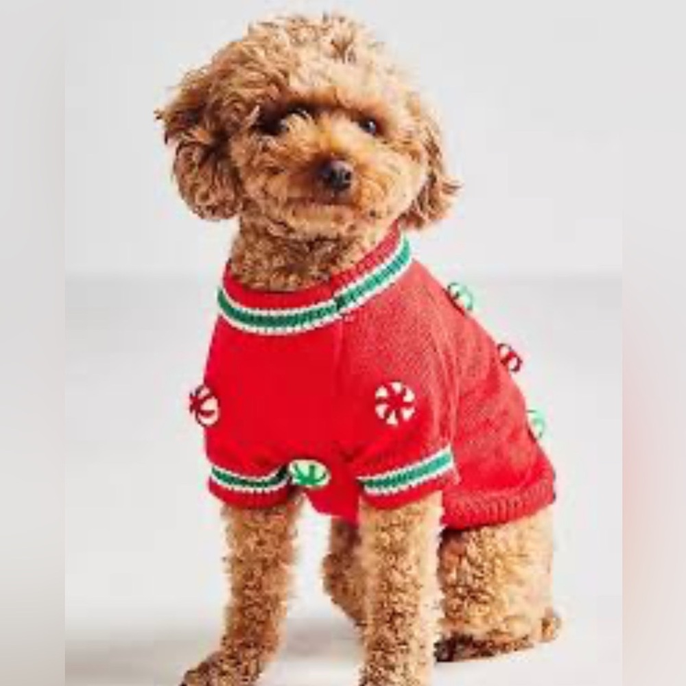 Anthropologie Found Dog Sweater, XL NWT